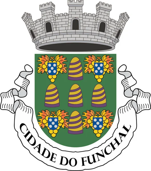 Wappen funchal auf Madeira von Portugal — Stockvektor