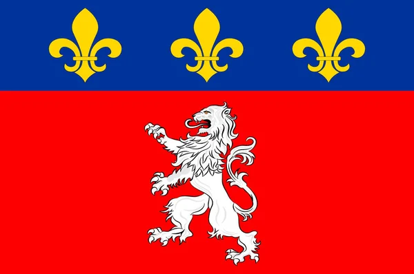 Lyon zászlaja az Auvergne-Rhone-Alpes régióban Franciaországban — Stock Vector