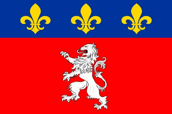 Drapeau de Lyon en Auvergne-Rhône-Alpes en France — Image vectorielle