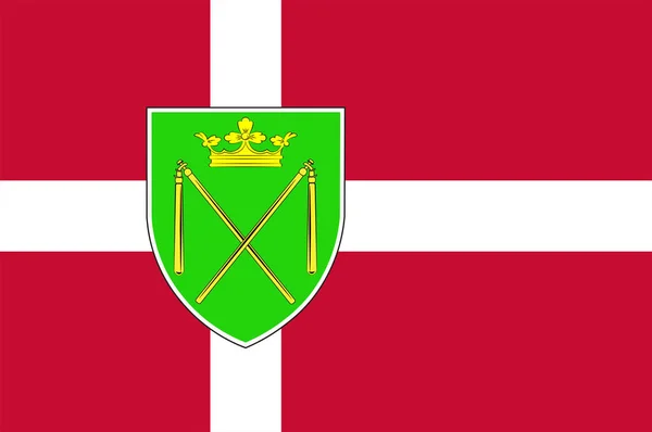 Bandera de Bronderslev en Jutlandia Septentrional Región de Dinamarca — Vector de stock