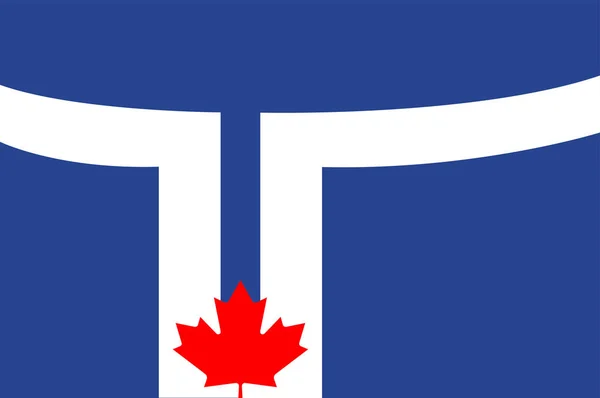 Torontské vlajka v Kanadě — Stockový vektor