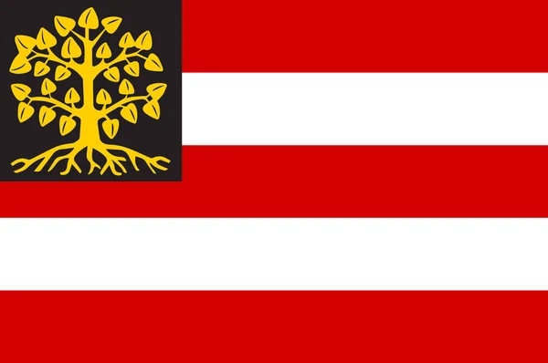 Vlajka Hertogenbosch, Nizozemsko — Stockový vektor