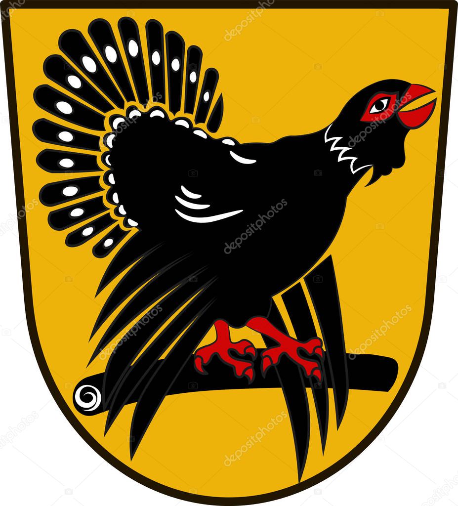 Coat of arms of Freudenstadt in Baden-Wuerttemberg, Germany
