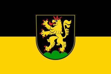 Baden-Wuerttemberg, Almanya içinde Heidelberg bayrağı