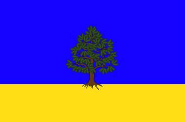 Burgundy, Fransa içinde Chateau-Chinon bayrağı