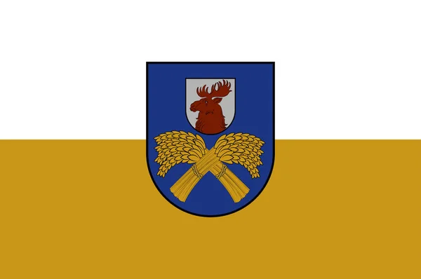 Flagge von Jelgava in Selonia in Lettland — Stockvektor