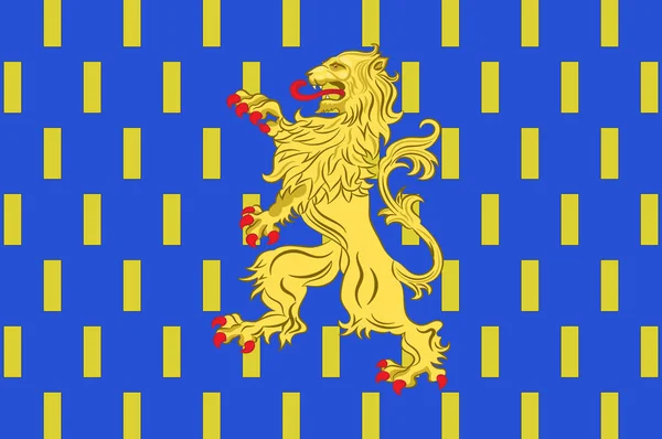 프랑스 부르고뉴의 요네의 오세르 국기 — 스톡 벡터