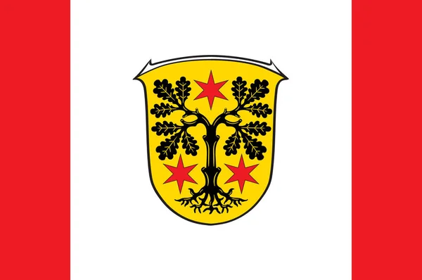 La bandiera di Odenwaldkreis è un distretto dell'Assia, in Germania. . — Vettoriale Stock