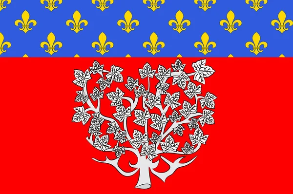 Σημαία της Αμιάν στο Σομ της Hauts-de-France είναι μια περιφέρεια της Γαλλίας — Διανυσματικό Αρχείο