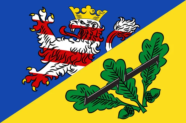 Bandeira de Kassel em Hesse, Alemania — Vetor de Stock