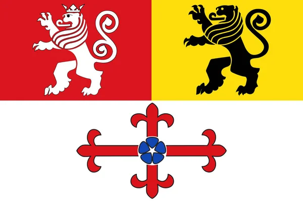 Флаг Хайнсберга в Северном Рейне-Вестфалии, Германия — стоковый вектор
