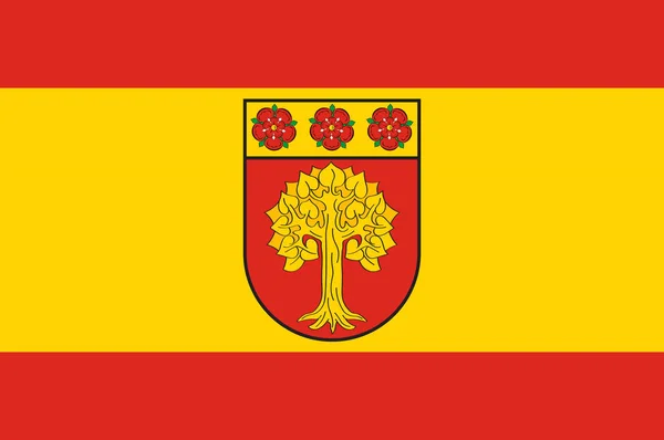 北ライン・ウェストファリアのセルムの国旗, ドイツ — ストックベクタ
