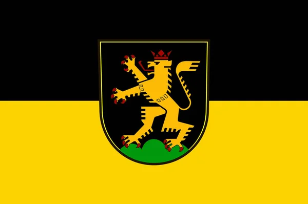 Σημαία της Χαϊδελβέργη στο Μπάντεν-Βυρτεμβέργη, Γερμανία — Διανυσματικό Αρχείο