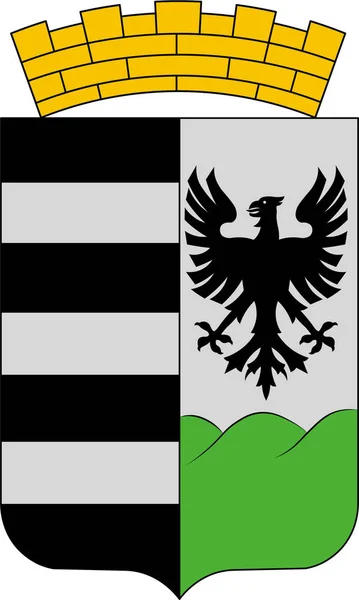 Escudo de armas de Salgojalá en el Condado de Nograd de Hungría — Vector de stock