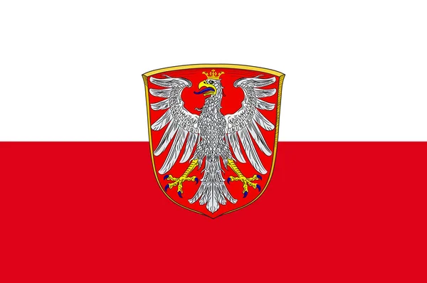 ヘッセのメインにフランクフルトの旗, ドイツ — ストックベクタ