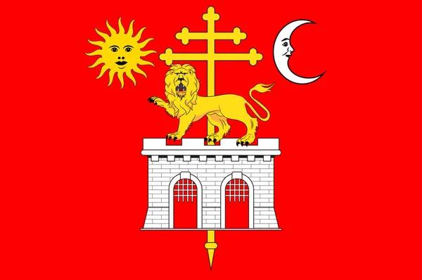 Прапор Альбі з Occitanie () — регіон у Франції — стоковий вектор