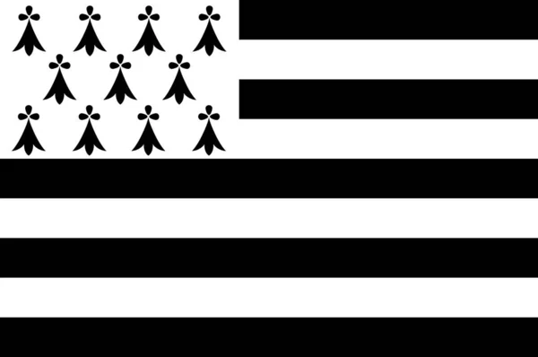 Bandera de Bretaña, Francia — Vector de stock
