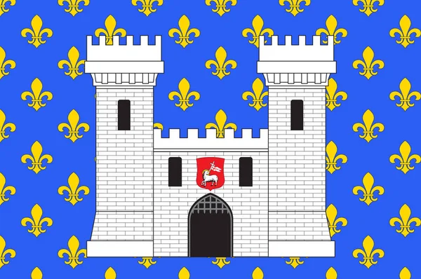 Carcassonnes flagga i Aude i Occitanie är en region i Frankrike — Stock vektor