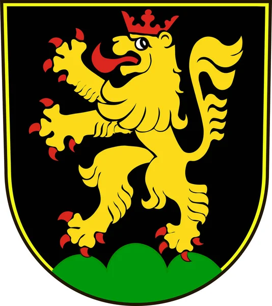 Wappen von Heidelberg in Baden-Württemberg, Deutschland — Stockvektor