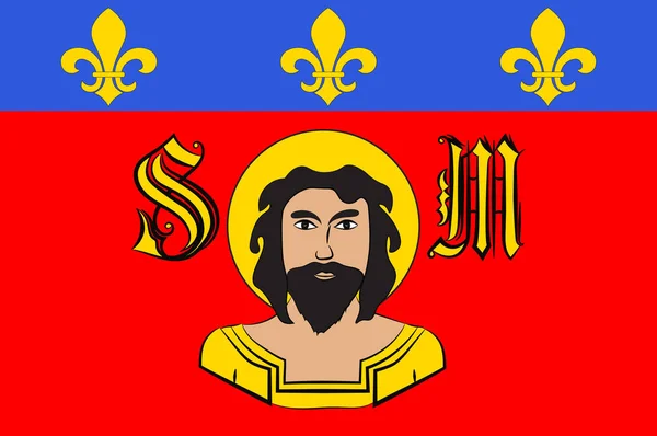 Bandeira de Limoges em Haute-Vienne de Nouvelle-Aquitaine é o lar — Vetor de Stock