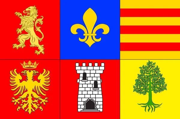 フランスのオクシタニー地方のアリエージュのパミエの旗 — ストックベクタ