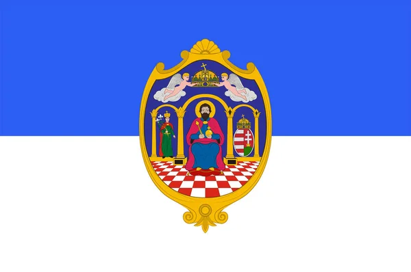 Vlajka okresu Tolna v Maďarsku — Stockový vektor
