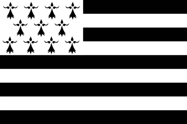 Flagge der Bretagne, Frankreich — Stockvektor