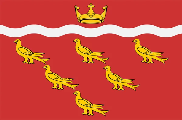 Vlag van East Sussex in Engeland — Stockvector