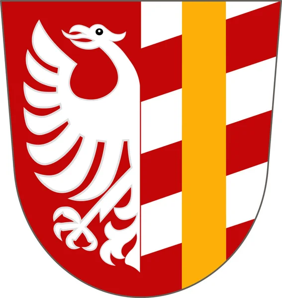 Lo stemma di Gunzburg è un distretto della Svevia, Baviera, Germa — Vettoriale Stock