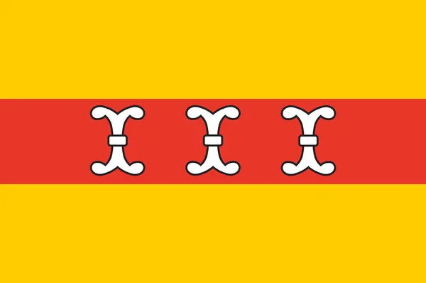 Bandeira de Borken in North Rhine-Westphalia, Alemanha — Vetor de Stock
