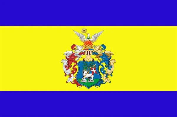 Bandera de Debrecen en el condado de Hajdu-Bihar en Hungría — Archivo Imágenes Vectoriales