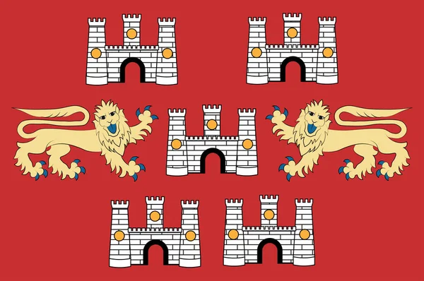Flaga Winchester w hrabstwie Hampshire (Anglia) — Wektor stockowy
