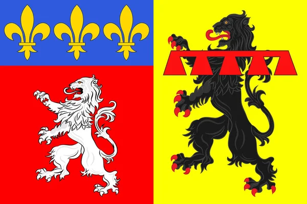 Flagge von Rhone ist ein Departement in der zentralen östlichen Region von Auver — Stockvektor