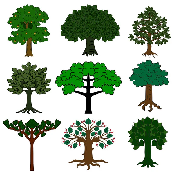 Conjunto de árvores isoladas sobre fundo branco — Vetor de Stock