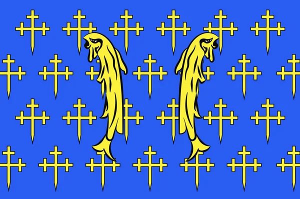 Bandiera della Mosa in Grand Est è una regione amministrativa francese di — Vettoriale Stock