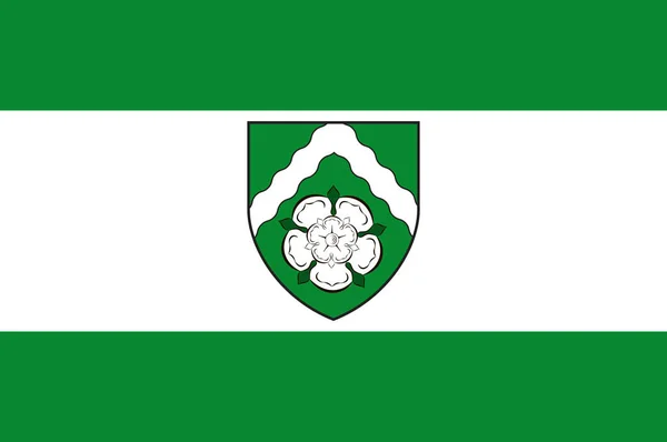 Bandiera di Finnentrop in Renania Settentrionale-Vestfalia, Germania — Vettoriale Stock