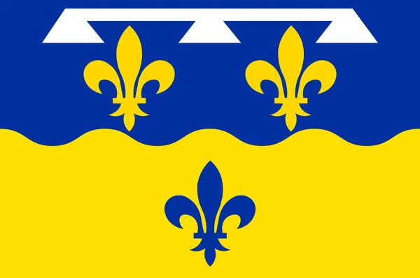 Vlag van Loir-et-Cher in Centre-Val de Loire, Frankrijk — Stockvector