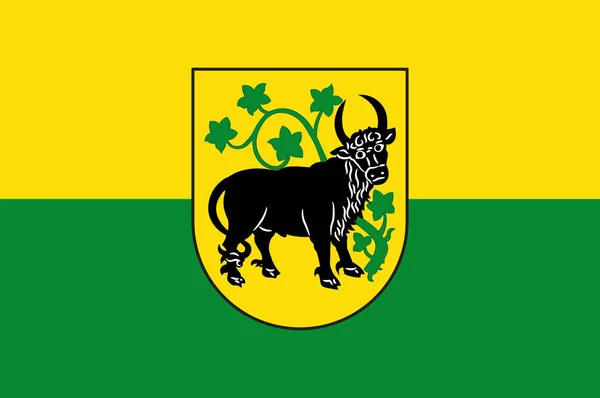 Guestrow zászlaja (Mecklenburg-Vorpommern, Németország) — Stock Vector