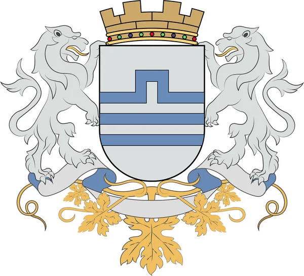 Escudo de armas de Podgorica en Montenegro — Vector de stock