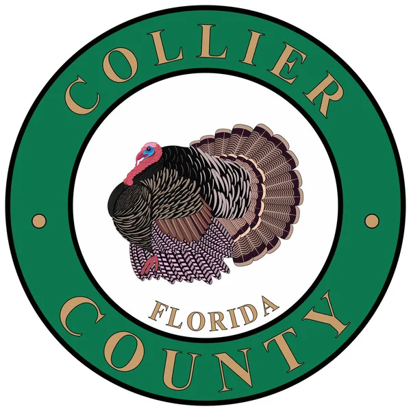 Coat of arms of Collier County in Florida of USA — Stock Vector