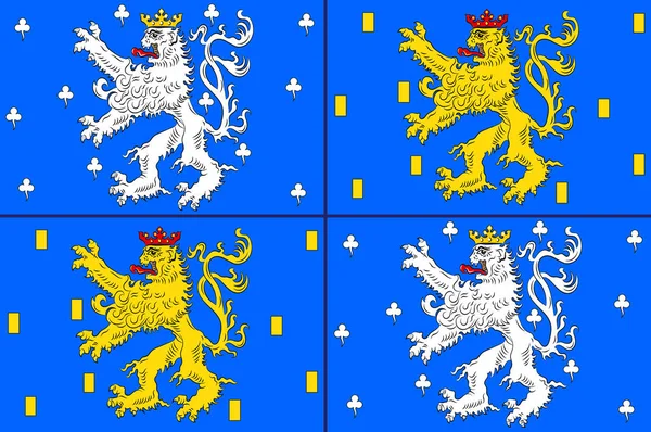 독일 자르란트의 사르브루에켄 국기 — 스톡 벡터