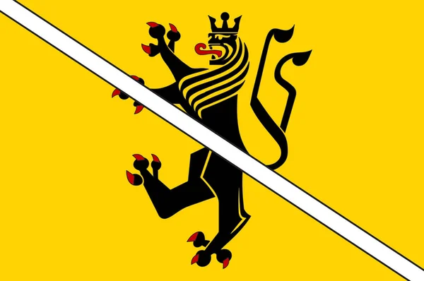 Vlag van Gangelt in Noordrijn-Westfalen, Duitsland — Stockvector