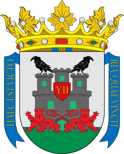 Escudo de Vitoria-Gasteiz en el País Vasco en España — Vector de stock