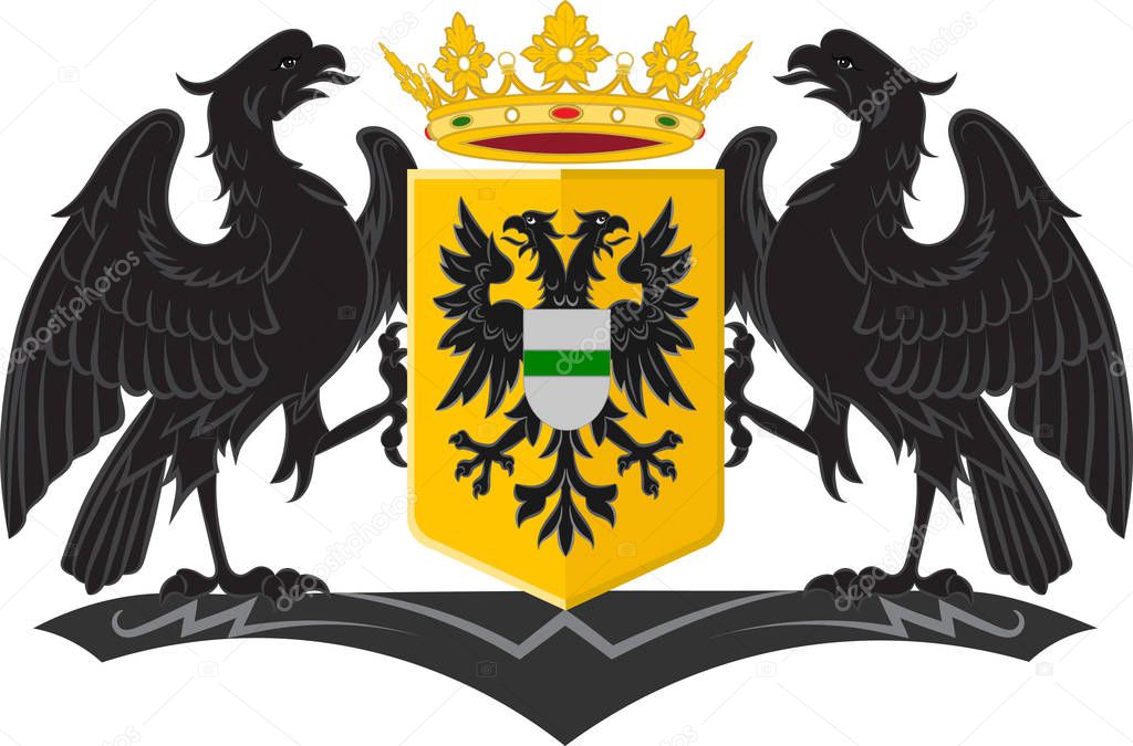 Coat of arms of Groningen is the main municipality of Netherland