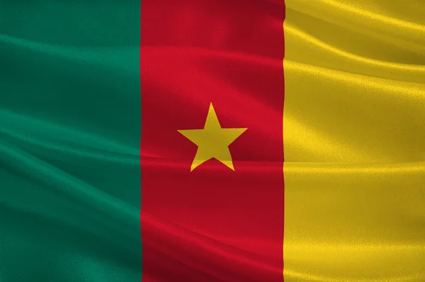 Flaga Republiki Kamerunu — Zdjęcie stockowe