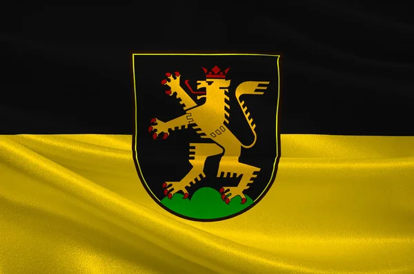 德国巴登-符腾堡的海德堡旗 — 图库照片