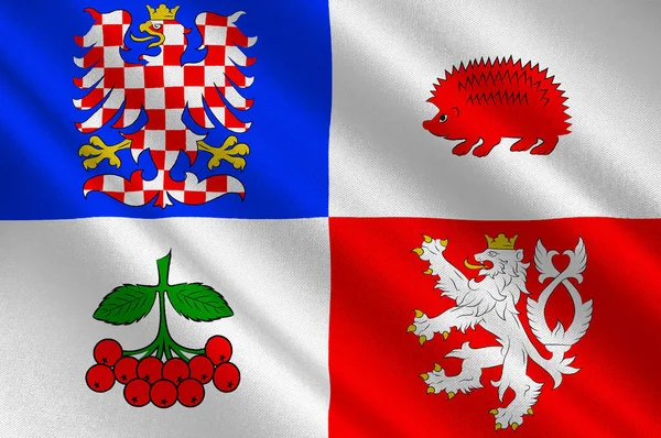 Bandera de Vysocina Region en República Checa —  Fotos de Stock