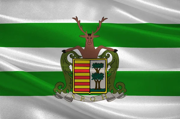 比利时林堡哈塞尔特旗 — 图库照片