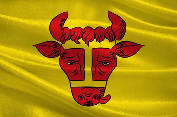 Coesfeld zászlaja, Észak-Rajna – Vesztfália, Németország — Stock Fotó