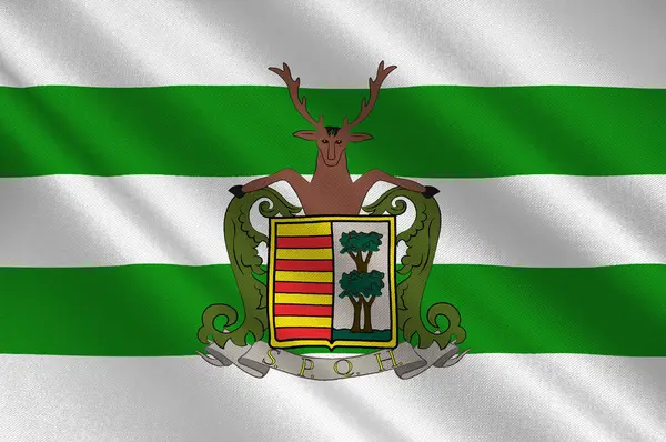 比利时林堡哈塞尔特旗 — 图库照片